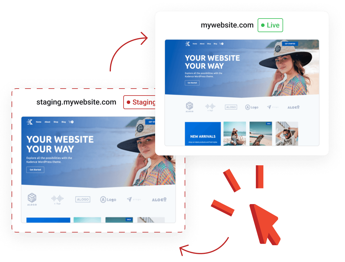 SSD Hosting - Trusted Web Hosting Solution - Company Profile